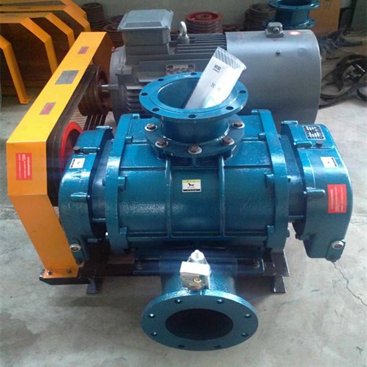 山東MSR225三葉羅茨鼓風(fēng)機(jī)(圖2) 山東MSR225三葉羅茨鼓風(fēng)機(jī)(圖2)
